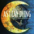 Miniatyrbild 2 av 2: As I Lay Dying - Shadows Are Security (CD)
