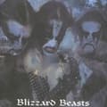 Pikkukuva 2 / 2: Immortal - Blizzard Beasts (CD)