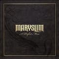 Miniatyrbild 1 av 2: Maryslim - A Perfect Mess (CD)
