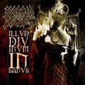 Miniatyrbilde 1 av 2: Morbid Angel - Illud Divinum Insanus (CD)