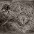 Pikkukuva 1 / 2: Bombs Of Hades - Through The Dark Past (CD)