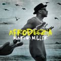 Miniatyrbild 1 av 2: Marcus Miller - Afrodeezia (CD)