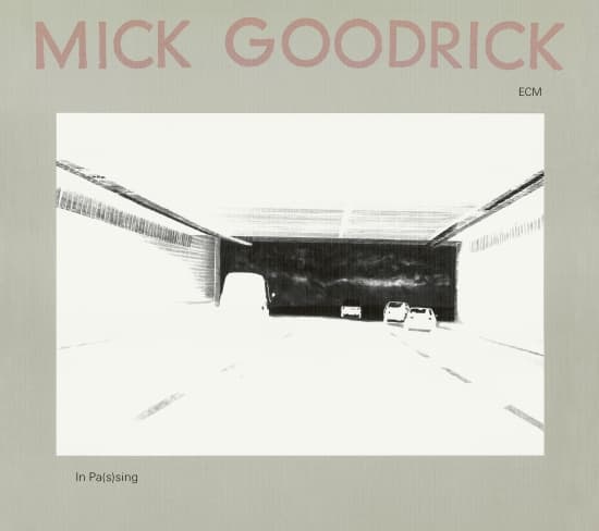 Goodrick Mick - In Pas(S)Ing (CD)