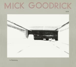 Goodrick Mick - In Pas(S)Ing (CD)