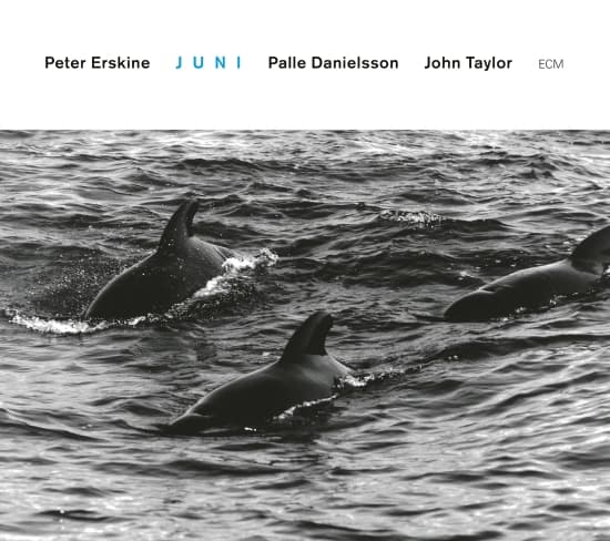 Erskine Peter - Juni (CD)