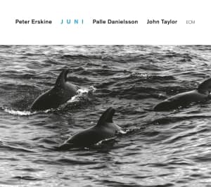 Erskine Peter - Juni (CD)