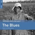 Miniatyrbild 1 av 2: Blandade Artister - Rough Guide To The Roots Of The Blu (CD)