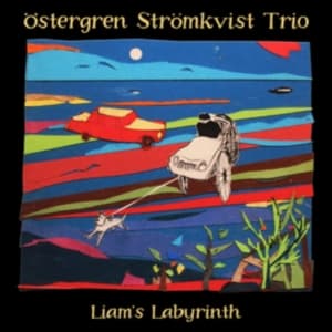 Östergren Strömkvist Trio - Liam's Labyrinth (CD)