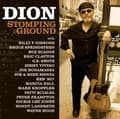Pikkukuva 2 / 2: Dion - Stomping Ground (CD)