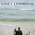 Miniatyrbillede 1 af 2: Lindblom Linus - Objets Trouvés (CD)