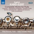Miniatyrbild 1 av 2: Karg-Elert - Flute Works (CD)