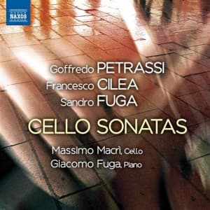 Various Composers - Works For Cello And Piano (CD)
