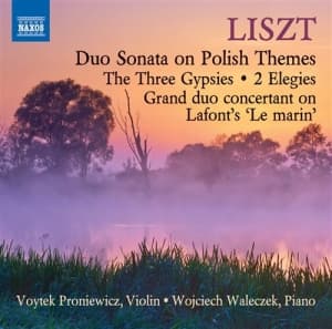 Liszt - Music For Violin And Piano (CD)