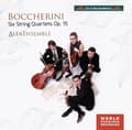 Miniatyrbillede 1 af 2: Boccherini Luigi - Six String Quartets Op. 15 (CD)