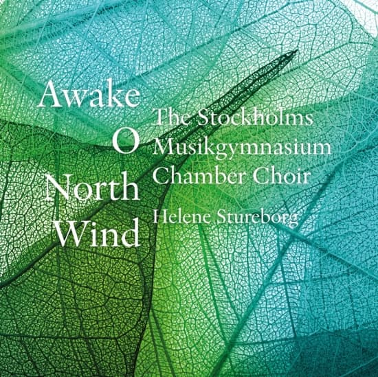 The Stockholm Musikgymnasium Chambe - Awake, O North Wind (CD)