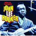 Miniatyrbild 1 av 2: Hooker John Lee - Motor City Blues Master (CD)