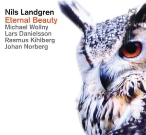 Nils Landgrenmichael Wollny Johan - Eternal Beauty (CD)