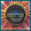 Miniatyrbillede 2 af 2: Bednall David - Sudden Light (CD)