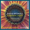 Miniatyrbillede 1 af 2: Bednall David - Sudden Light (CD)