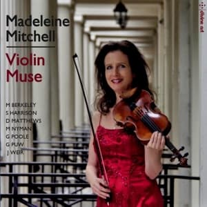 Blandade Artister - Violin Muse
