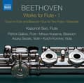 Pikkukuva 1 / 2: Beethoven Ludwig Van - Works For Flute, Vol. 1 (CD)