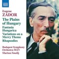 Pikkukuva 1 / 2: Zádor Eugene - The Plains Of Hungary (CD)