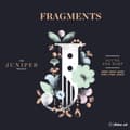 Pikkukuva 1 / 2: Various - Fragments: Music For Flute And Harp (CD)