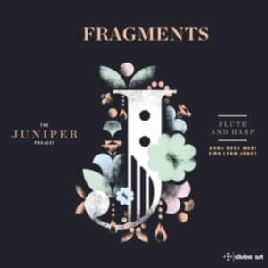 Various - Fragments: Music For Flute And Harp (CD)