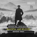 Pikkukuva 1 / 2: Beethoven Ludwig Van Wright Jame - Immortal And Beloved (CD)
