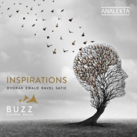 Dvorak Antonin Ewald Victor Rav - Inspirations (CD)