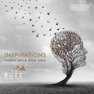 Dvorak Antonin Ewald Victor Rav - Inspirations (CD)
