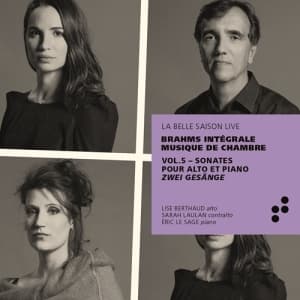 Brahms Johannes - Integrale Musique De Chambre - Sona (CD)