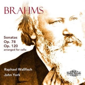 Brahms Johannes - Sonatas, Opp. 78 & 120 (Arranged Fo (CD)