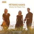 Pikkukuva 1 / 2: Vasks Peteris - Works For Piano Trio (CD)