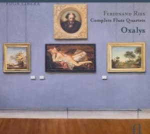 Ferdinand Ries - Ries / Complete Flute Quartets (CD)