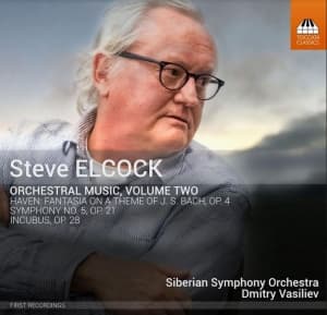 Elcock Steve - Orchestral Music, Vol. 2 (CD)