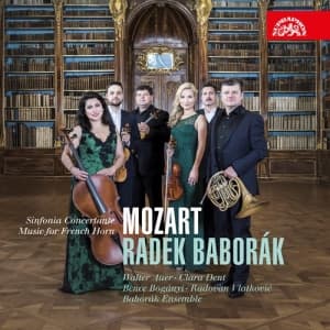 Mozart W A - Sinfonia Concertante, Music For Fre (CD)
