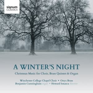 Various - A Winter's Night - Christmas Music (CD)