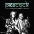 Miniatyrbillede 1 af 2: Brahms Johannes Dr. Lakshminaraya - Peacock (CD)