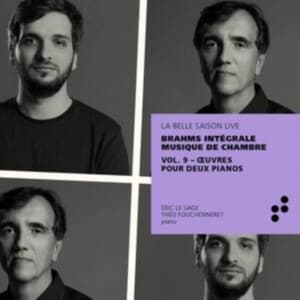 Johannes Brahms - Integrale Musique De Chambre, Vol. (CD)