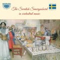Pikkukuva 1 / 2: Various - The Swedish Smorgasbord In Orchestr (CD)