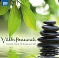 Miniatyrbillede 2 af 2: Various - Välbefinnande - Klassisk Musik För (CD)