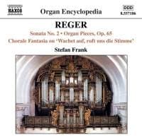 Reger Max - Organ Works Vol 5 (CD)