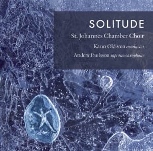 Blandade Artister - Solitude