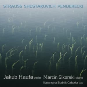 Strauss / Shostakovich / Penderecki - Works For Violin And Piano (CD)