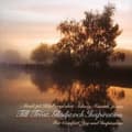 Miniatyrbillede 1 af 2: Chopin Liszt Debussy - Till Tröst, Glädje Och Inspira (CD)