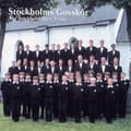 Pikkukuva 1 / 2: Stockholms Gosskör - Stockholms Gosskör (CD)