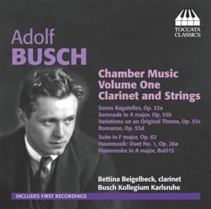 Busch - Chamber Music (CD)