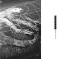 Miniatyrbild 2 av 2: Pixies - Doolittle 25 (CD)