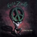 Miniatyrbillede 1 af 2: Enuff Zænuff - Strength (CD)